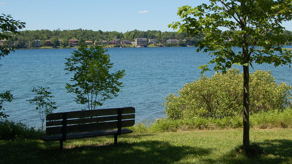 bench at lemoine point conservation area