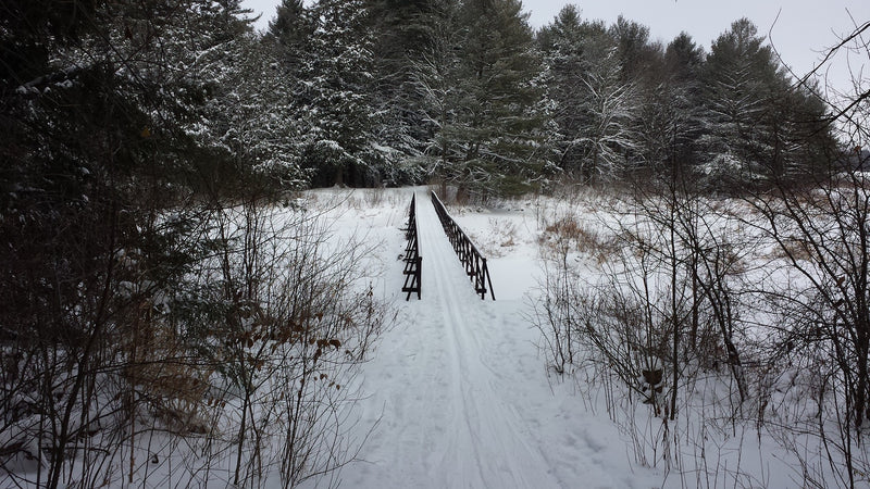 Ungroomed trail