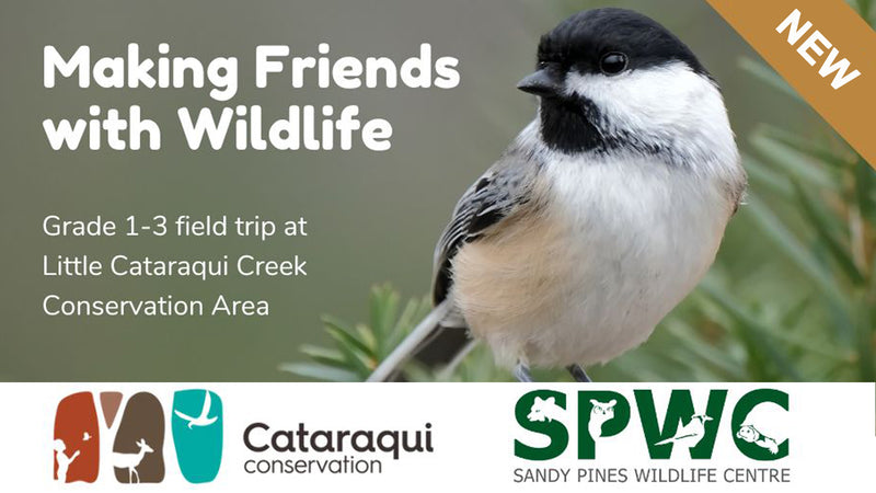 making friends with wildlife program