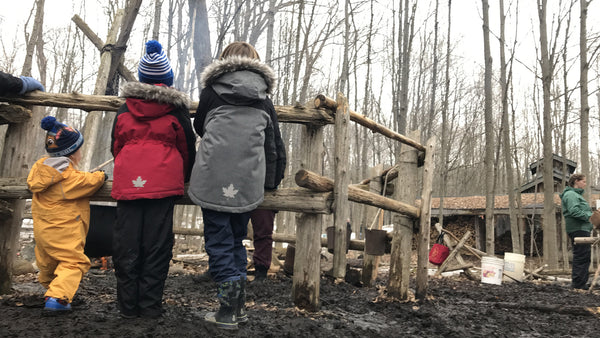 maple madness interpretive display