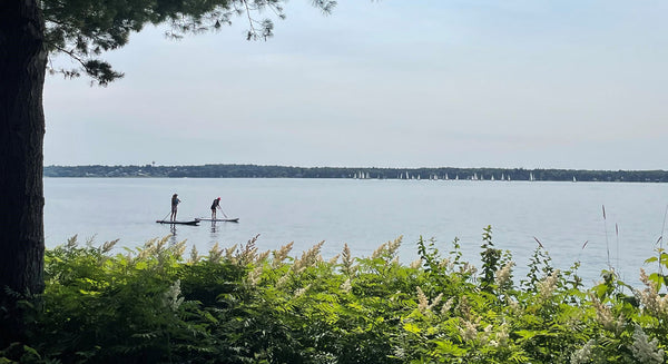 people paddle boarding on open water