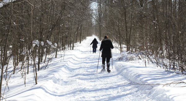 snowshoers on a trail
