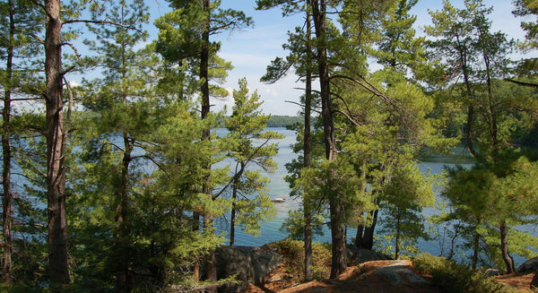 gould lake conservation area