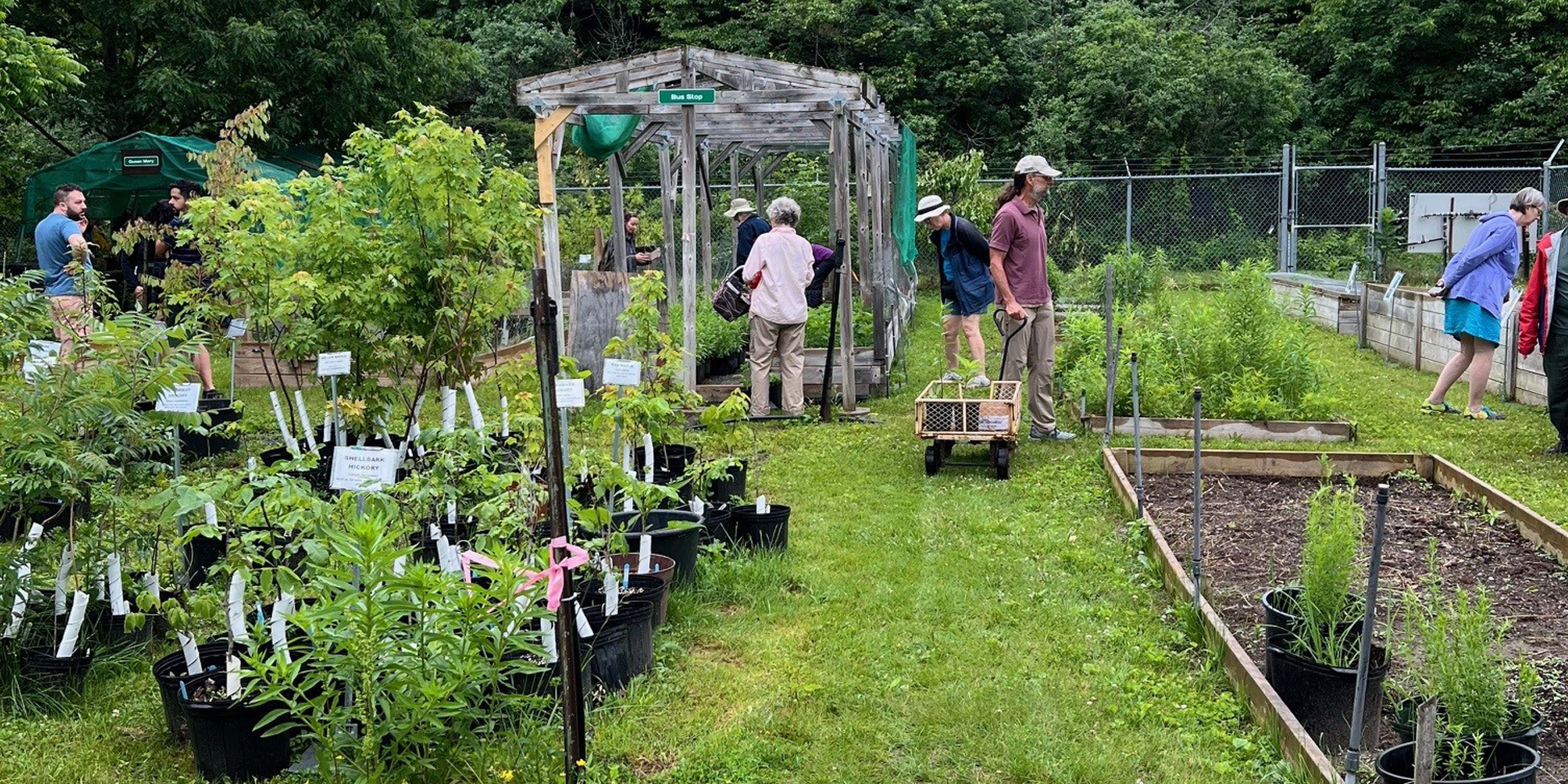 Friends of Lemoine Point Spring Tree Sale