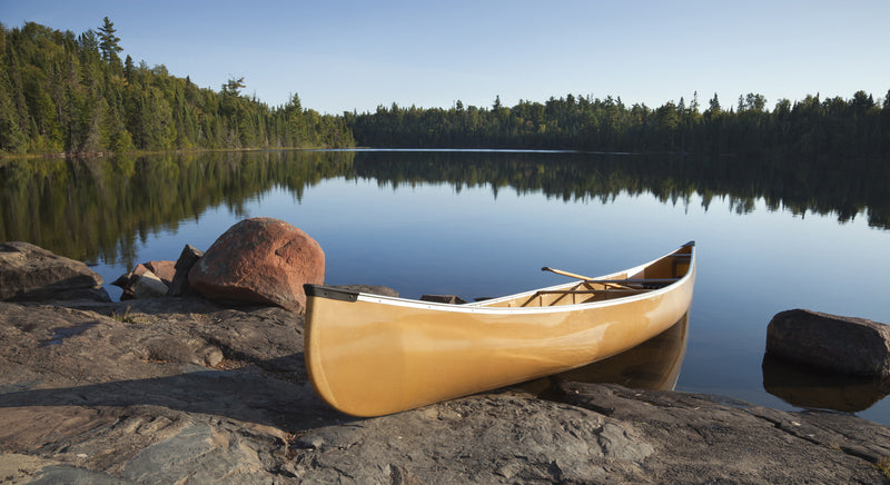 canoe pulled up on the shore