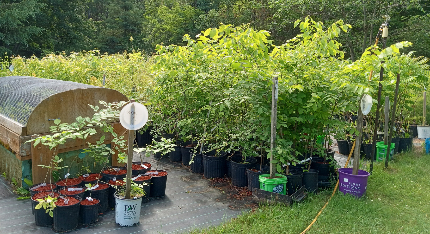 Friends of Mac Johnson - Final Spring Tree Sale Day