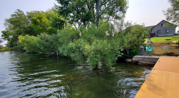 Cataraqui Conservation Launches Natural Shoreline Recognition Award