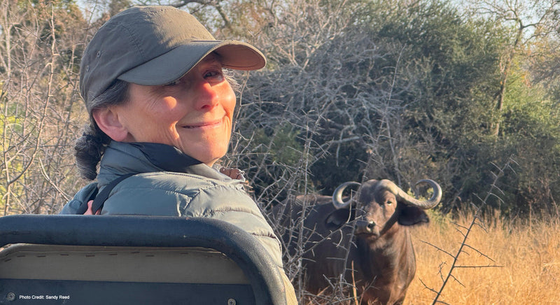 A South African Slow Safari: Where Tracking & Forest Therapy Meet - Part 1