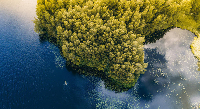 lake and forest view from above