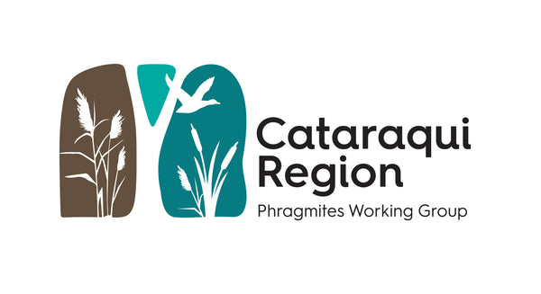 logo - cataraqui region phragmites working group