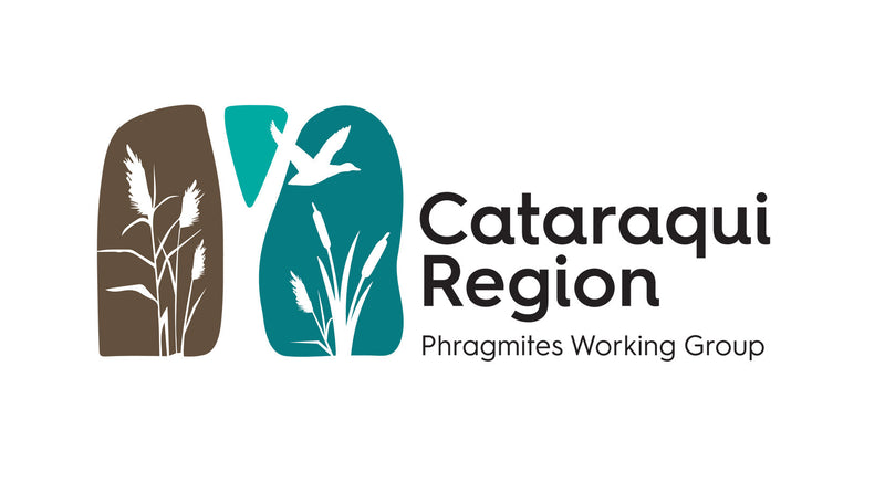 logo - cataraqui region phragmites working group