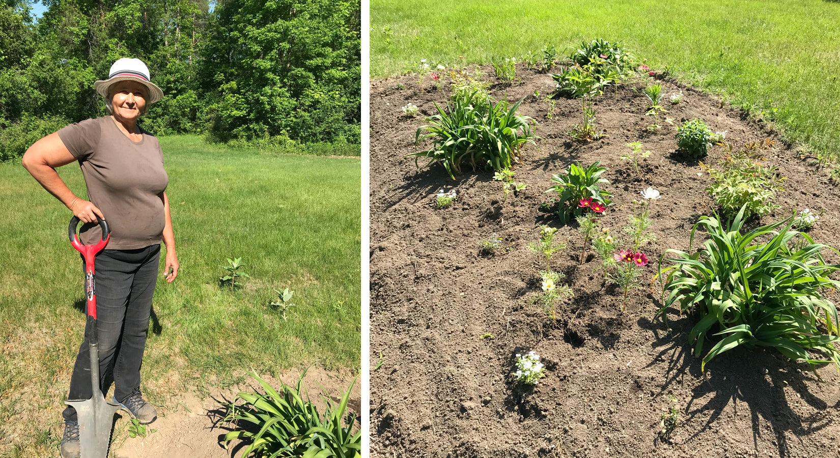 Mac Johnson Beginner's Pollinator Garden