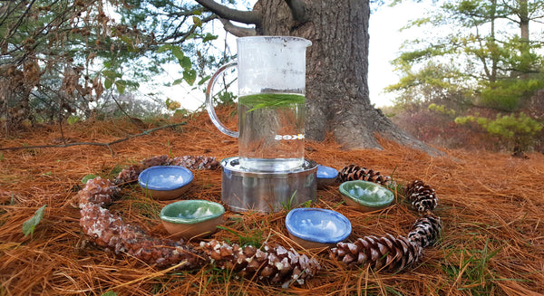 forest therapy tea ceremony