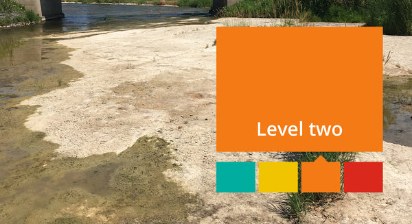 level 2 low water condition declared