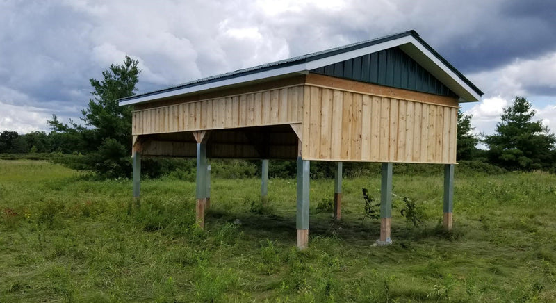 barn swallow habitat structure
