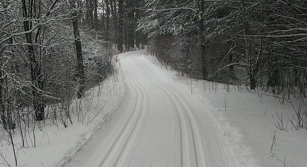 photo of a track-set cross-country ski trail