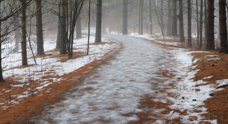 icy trail