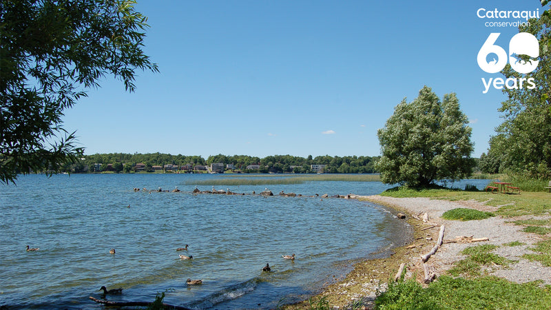 lemoine point conservation area