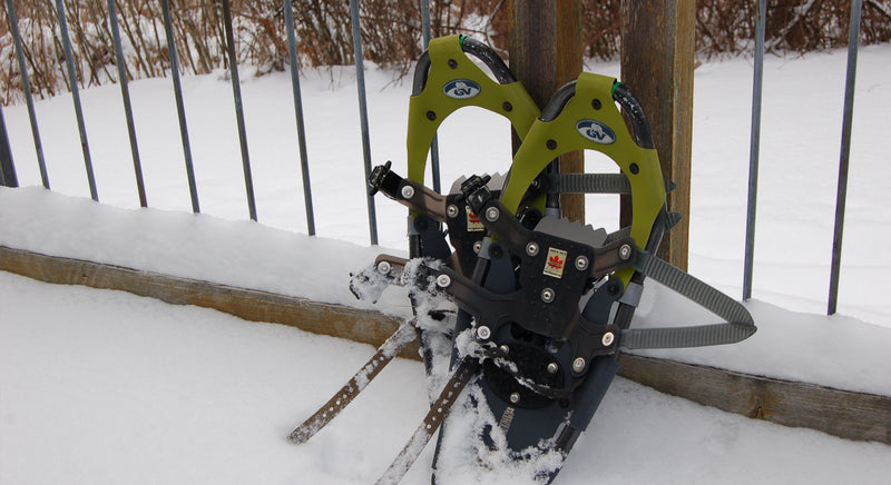 pair of snowshoes