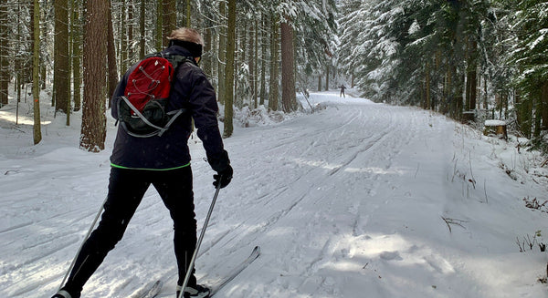 person cross-country skiing on a wilderness trail