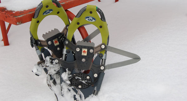 pair of snowshoes