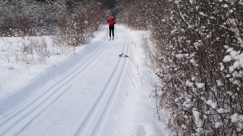 cross-country skier on groomed trail