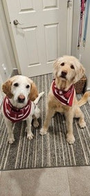 Cataraqui Conservation Foundation Bandana