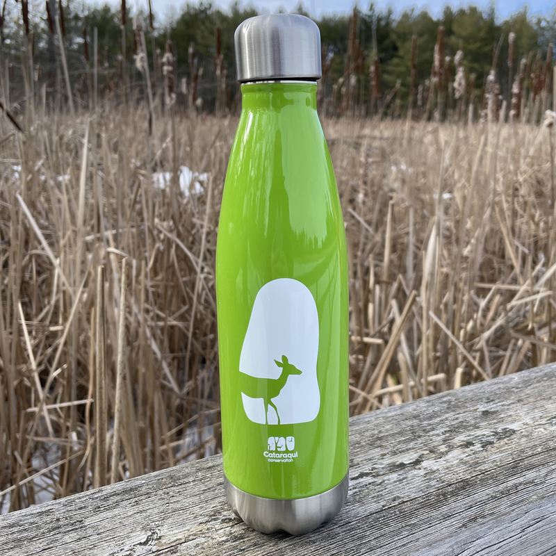 green water bottle with a deer logo
