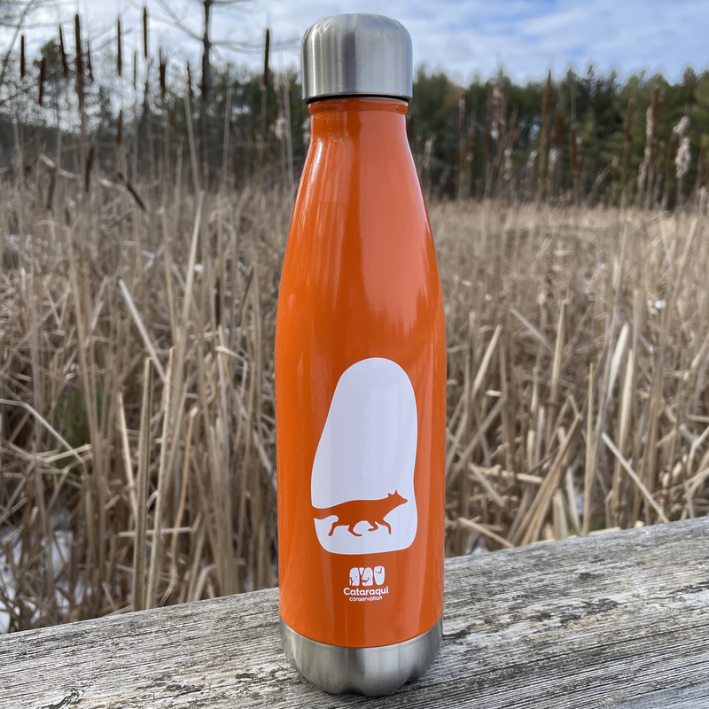 orange water bottle with a fox logo