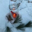 Lantern Lit Forest Therapy Walk - Feb. 4